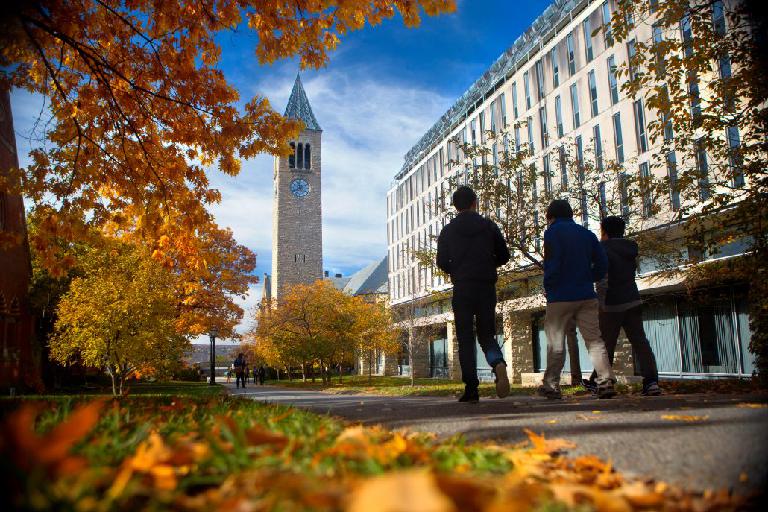 cornell-university-school-slide_index1