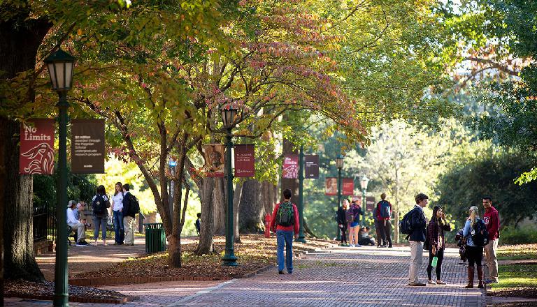 university-of-south-carolina-school-slide_index3